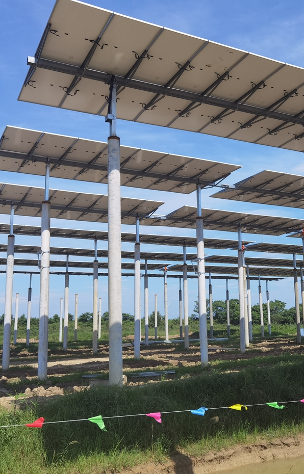 clenergy eztracker d1p 80mw solar tracker project gongqing jiangxi china